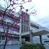休日の小学校