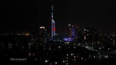 日の丸のイルミネーション