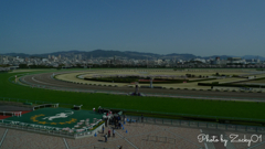 さくら咲く阪神競馬場