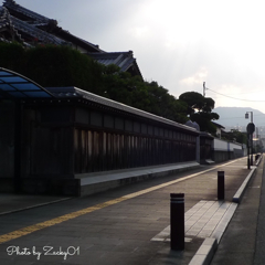 お気に入りの散歩道