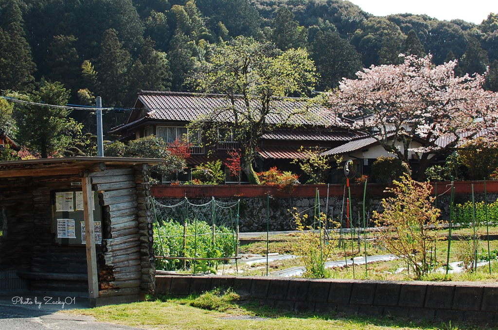 何処か懐かしい