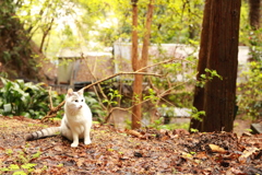雨の日も好き  (^з^)-☆