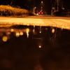 雨上がりのお散歩