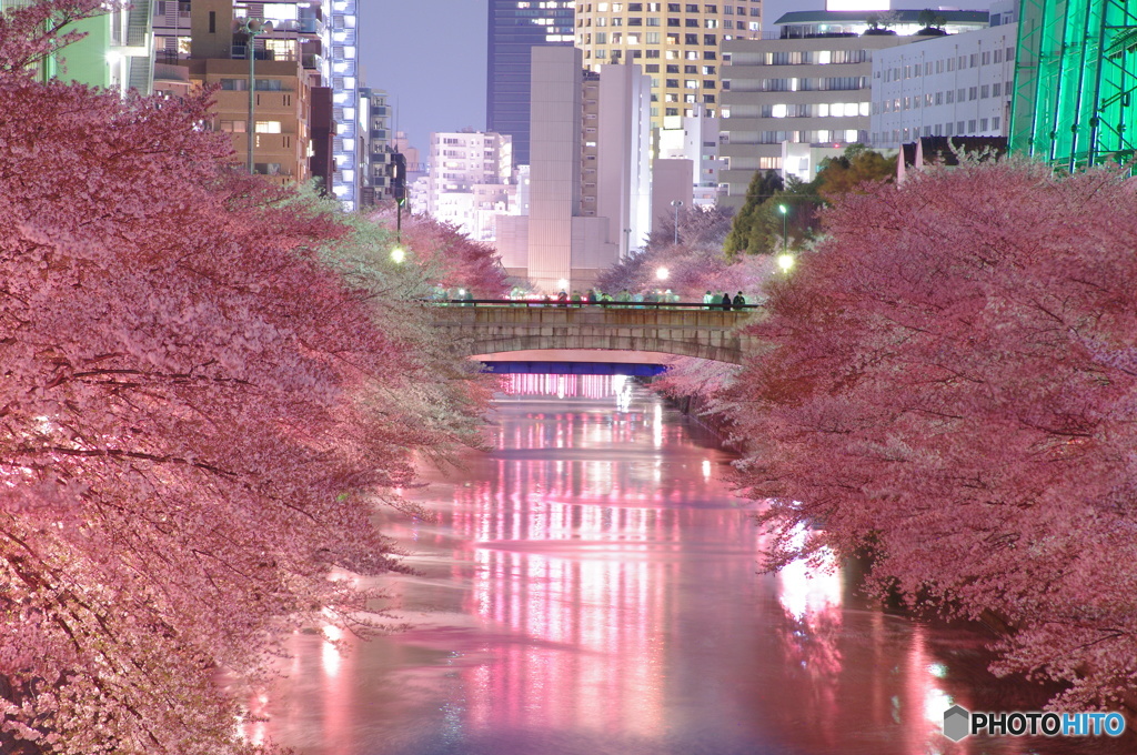 目黒川