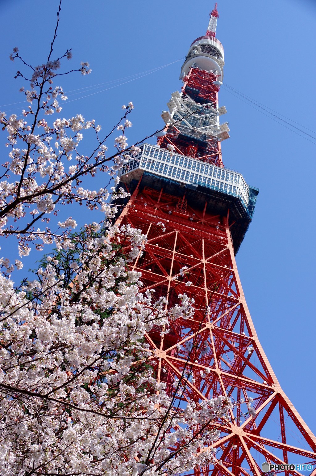 東京タワー