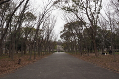 その先に