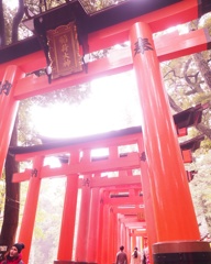 長い道のり