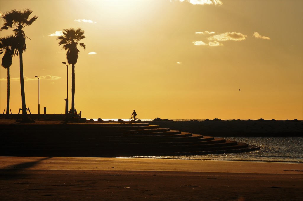 ひとり自転車で