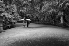 雨が似合う人