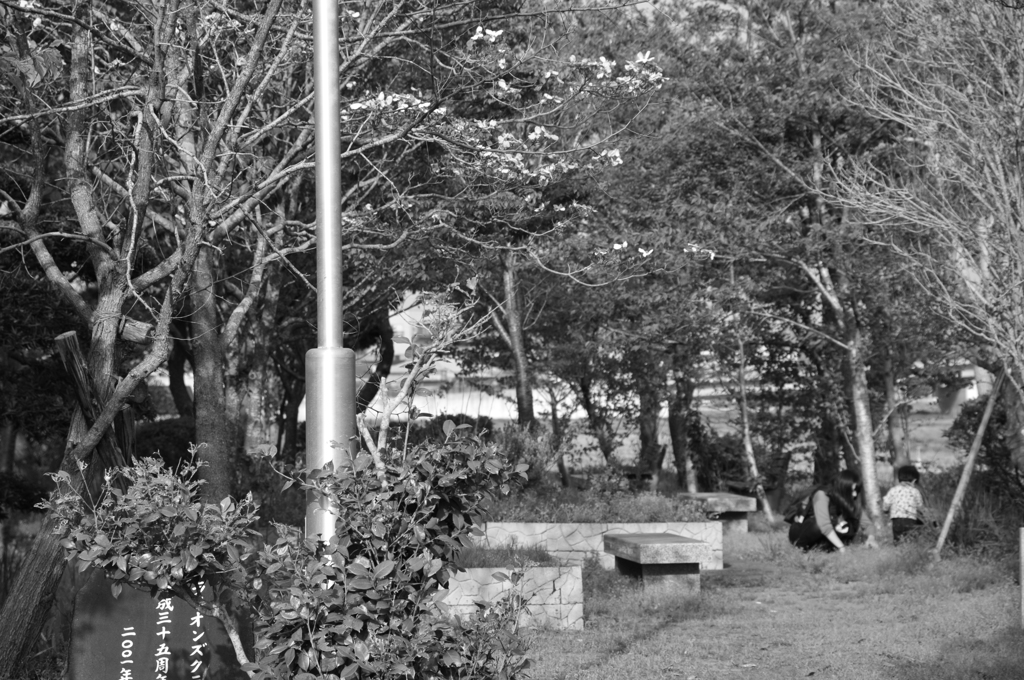 午後のひととき