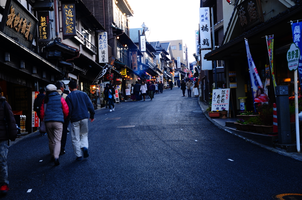 昼顔（成田山参道）