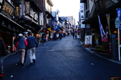 昼顔（成田山参道）