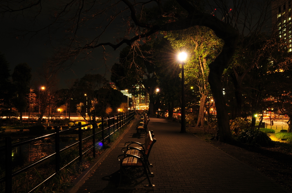 夜の日比谷公園 by しょー兄ちゃん （ID：7436142） 写真共有サイトPHOTOHITO