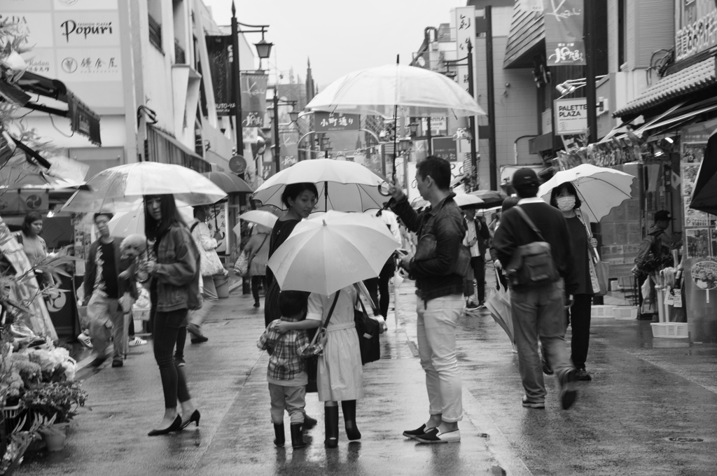 たまには雨の日も・・・