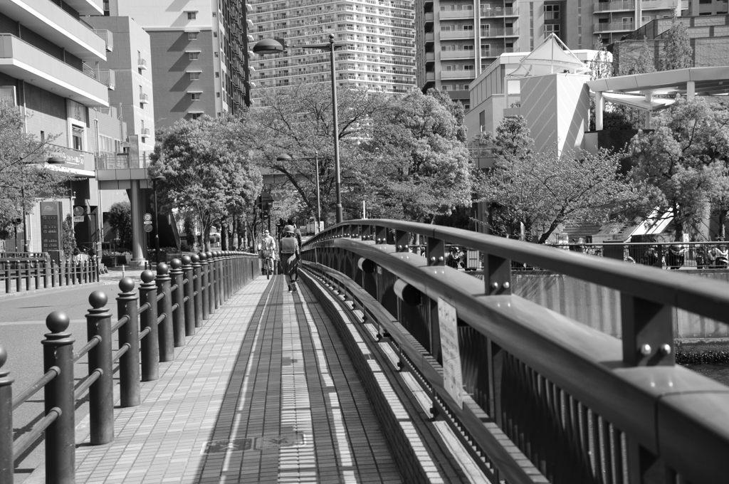 帰り道（有明）