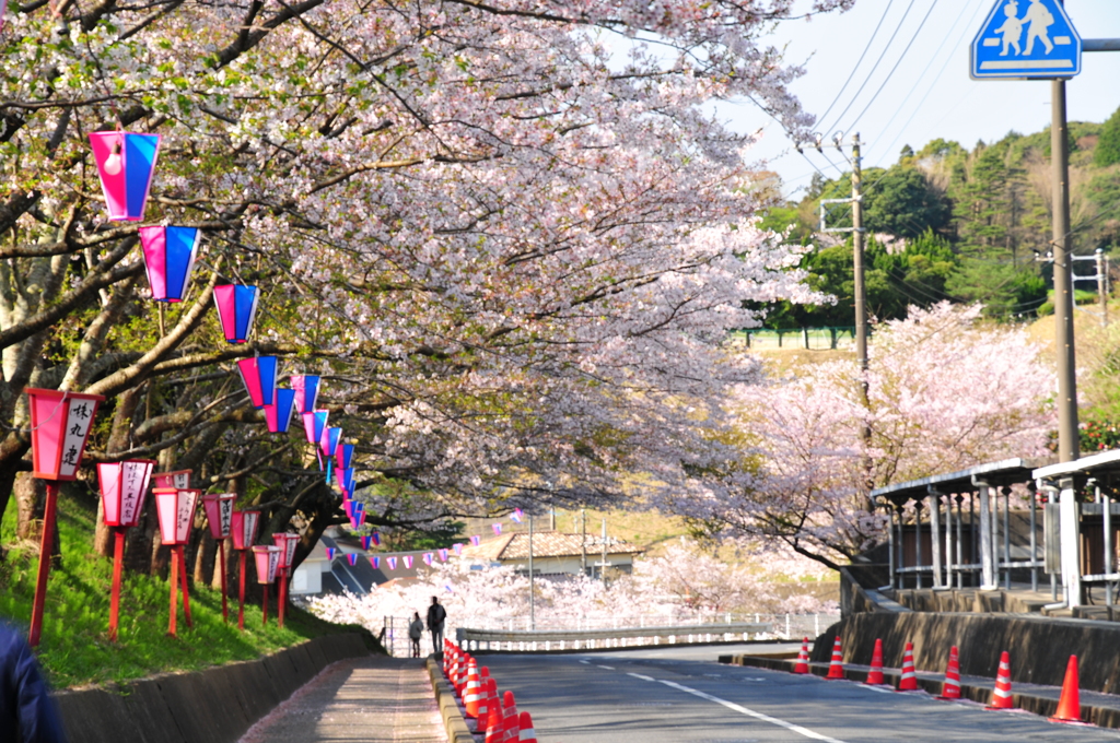 桜坂