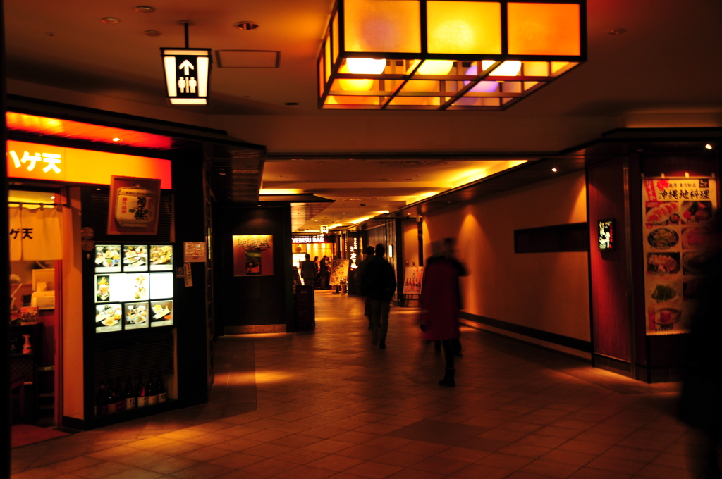 東京駅地下　黒塀横丁