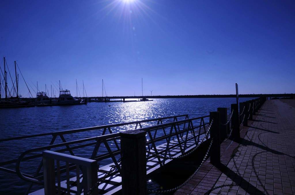 マリーナの午後