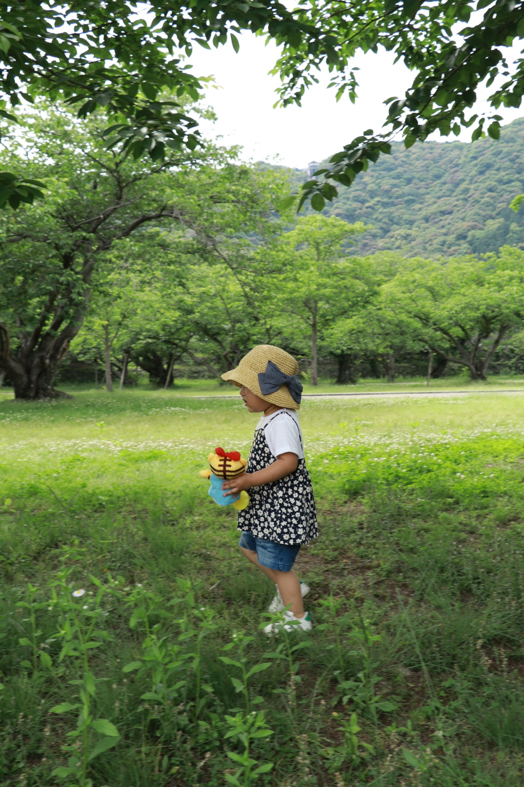 麦わら帽子とぬいぐるみ