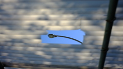 窓