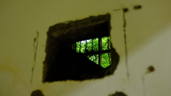 窓