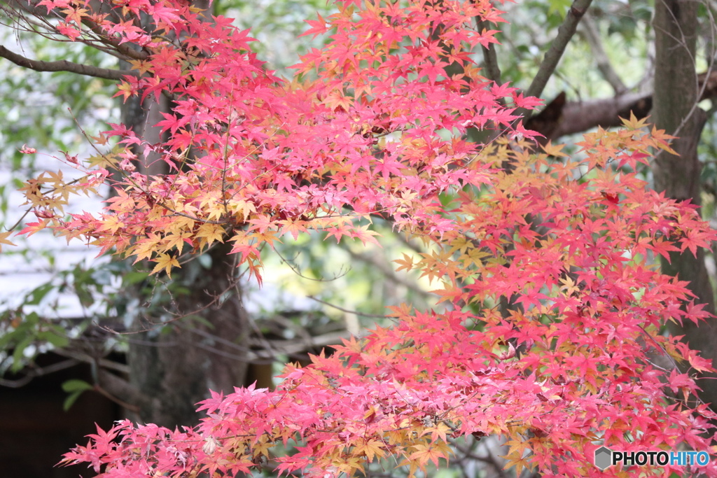 16D9D01A-B921-418D-9C69-A7E61A2861E7