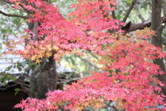 16D9D01A-B921-418D-9C69-A7E61A2861E7