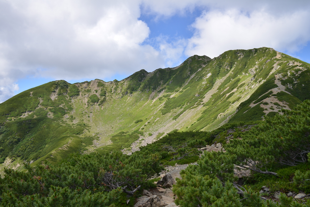 仙丈ヶ岳