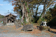 神川町　元森神社