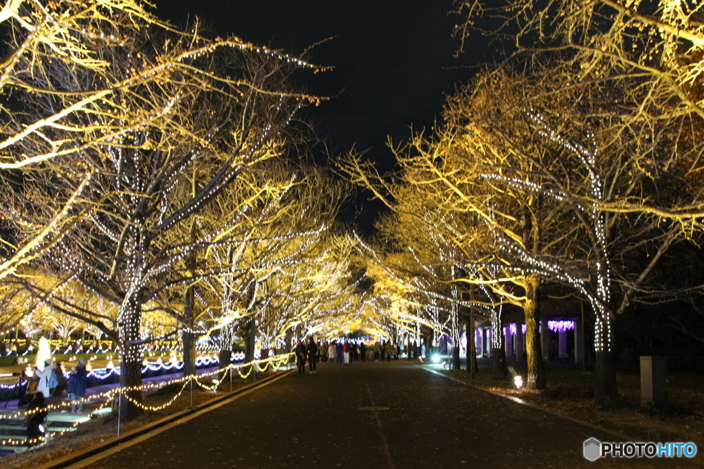 冬の昭和記念公園　2017.12.02