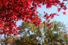 初撮り　航空公園