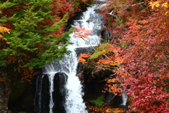 日光 竜頭の滝