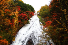 日光 湯滝
