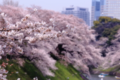 始まりの予感