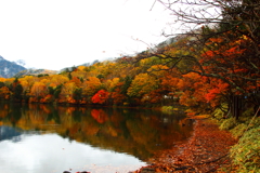 紅葉カーブ