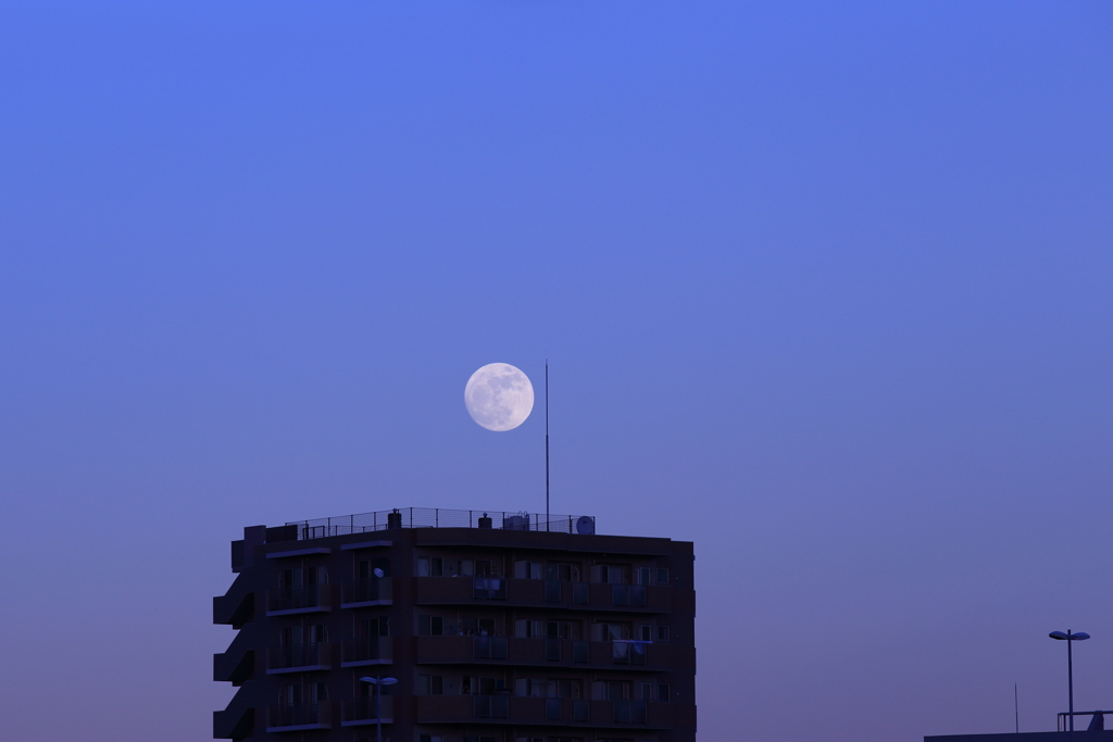 初月の出