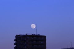 初月の出