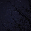 THE星空