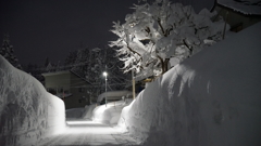 雪夜道