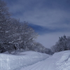 雪夜道