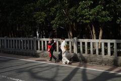 お宮参り 弥彦神社