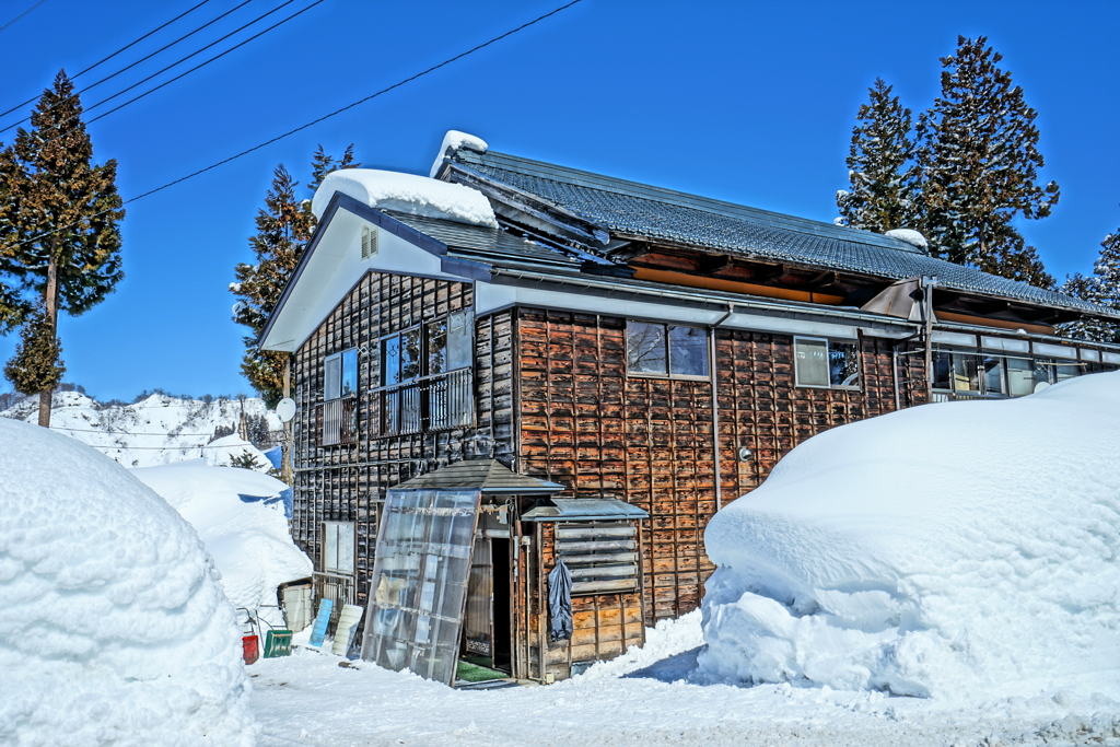 雪と暮らして…
