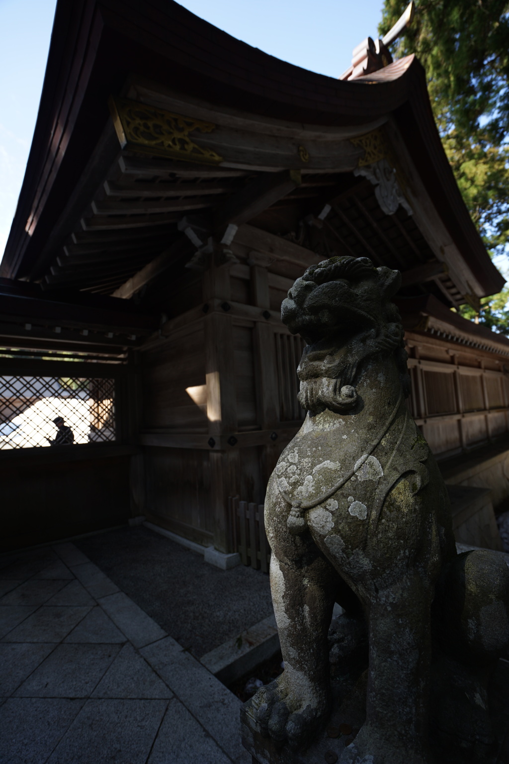 Guardian lion-dog at Shinto shrine 弥彦神社