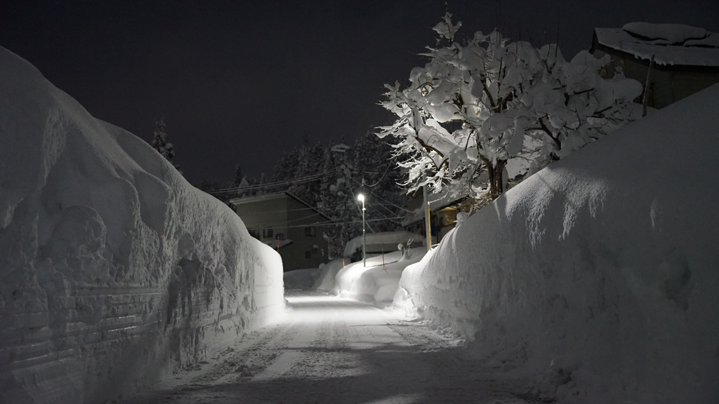 雪夜道