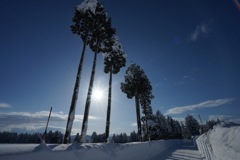 雪朝光