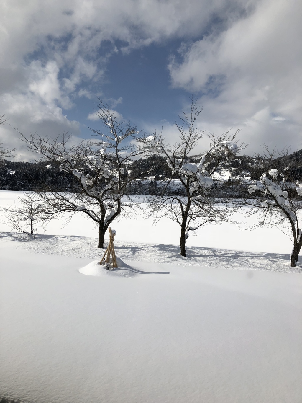 雪がやみ春遠く