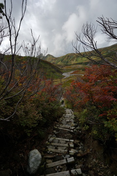 秋の雷鳥沢