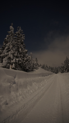 雪夜道