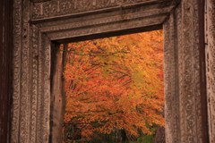 天然の額縁？(一竹美術館)