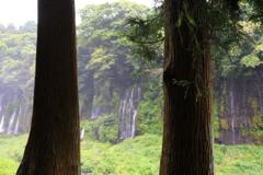 白糸の滝